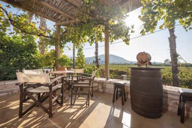 Kos: Wineries Tour w/ Wine Tastings & Transportation
