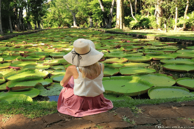 Port Louis: Northern Treasures Private Tour