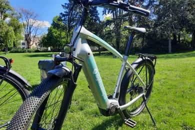 Luxembourg: City E-Bike Rental