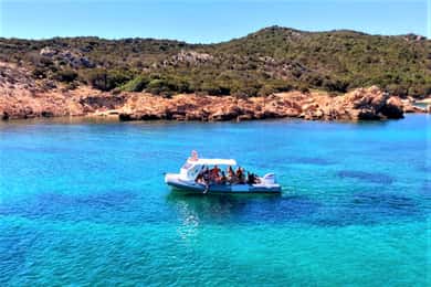 De Olbia: Passeio de RIB até Capo Figari com observação de golfinhos