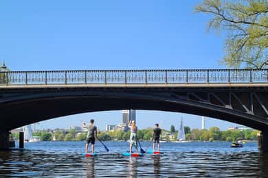 Hamburg: Stand Up Paddling - SUP-Board-Miete