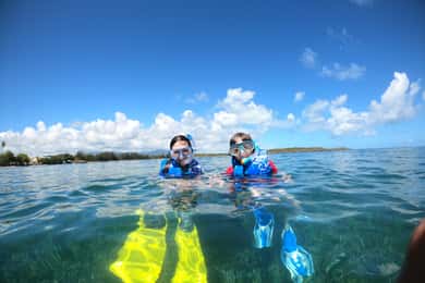Snorkelundervisning og interaktiv oplevelse med snacks