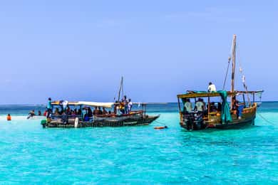 Isola Wasini: avvistamento di delfini e snorkeling a Kisite Mpunguti
