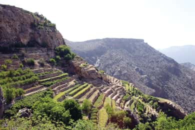 Prywatna wycieczka jednodniowa do Nizwy i Jabel Akhdar