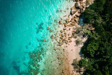 Cairns: Fitzroy Island Ferry with Snorkel/Picnic/Boat Option