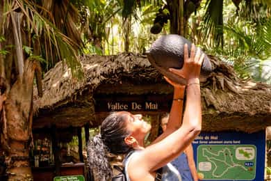 Praslin : Randonnée guidée de la Vallée de Mai avec transfert