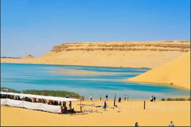 From Cairo: Whale Valley and Wadi El Rayan Waterfalls Tour