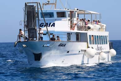 Von Palermo: Bus & Kreuzfahrt nach Favignana & Levanzo mit Mittagessen