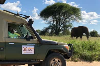 Zanzibárról: Mikumi Nemzeti Park vezetett szafari