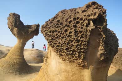 Taipei: Private City Sightseeing Tour with Driver