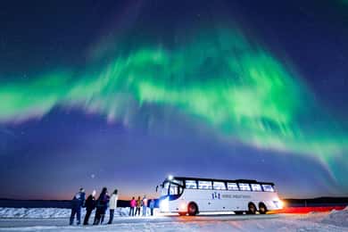 Rovaniemi: Hunting Northern Lights Bus Tour