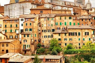 Siena: Private Custom Tour with a Local Guide