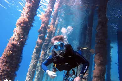 Pivate duiken in de Rode Zee van Aqaba
