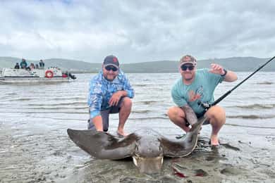 knysna lagoon fishing charter