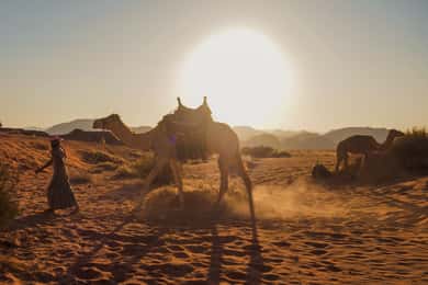Wadi Rum: 2 timmars kamelritt vid solnedgång / soluppgång över natten