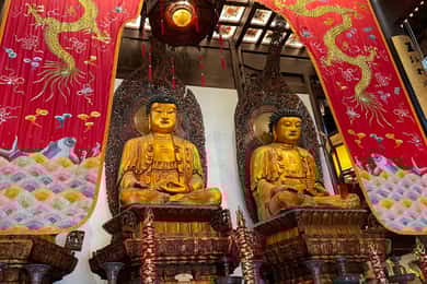 Shanghai: 8-Hour Guided Tour of Old and New City Highlights