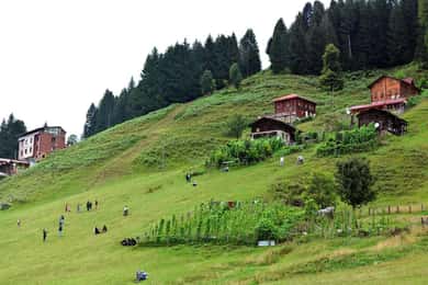 Rize: Ayder Tour & Kaçkar Mountaıns & Fırtına Valley