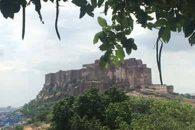 jodhpur blue city walking tour with guide
