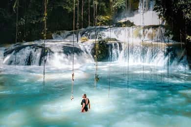 Ys Falls e Appleton Estate Private Tour