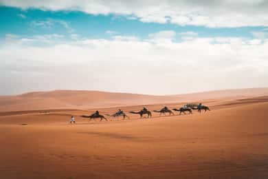 Desde Fez: tour de 3 días y 2 noches por el desierto a Marrakech