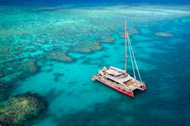 From Cairns: Great Barrier Reef Cruise by Premium Catamaran