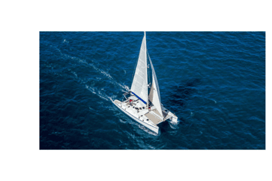Ilha Saona a partir de Santo Domingo com catamarã, comida e bebida