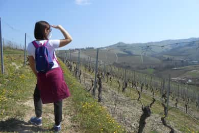 Trekking e wine tour con partenza da Alba