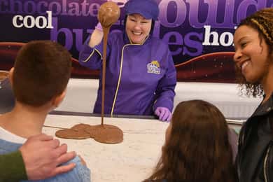 Bilet wstępu do Cadbury World