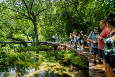 Vanuit Split: Krka watervallen cruise & Trogir wandeltour