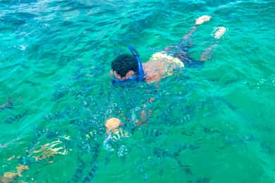 Safari Blu: Snorkeling al Parco Marino di Watamu e frutti di mare