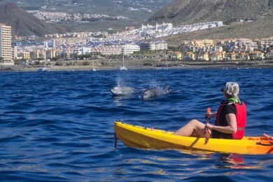 Tenerife: Snorkeling