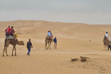 Agadir: Excursión de medio día en camello por el desierto del Sáhara y Sandboarding