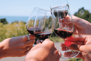 From Auckland: Waiheke Island Wine Cellar Tour