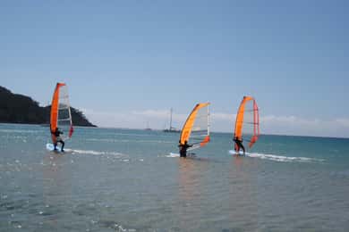Malmö: Beginner class Dynamic Windsurfing
