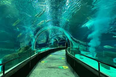Marine Aquarium Entry Tickets