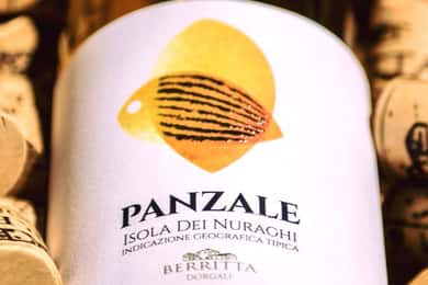 Cagliari: guided tasting of 5 rare native wines