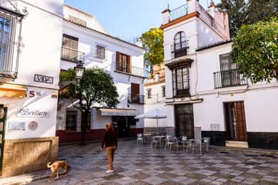 Séville : Visite privée de Santa Cruz