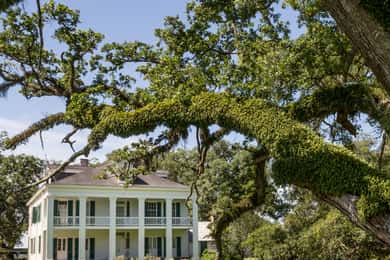 New Orleans: Tour guidato della Piantagione Felicity