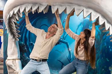 Big Fun Museum & Museum of Illusions Ticket Combo