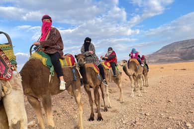 Marrakech: Montagne dell'Atlante, giro in cammello, cascate e pranzo