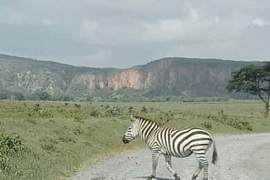 DAY TOUR- LAKE NAIVASHA AND HELL'S GATE PARK-WITH PARK FEES
