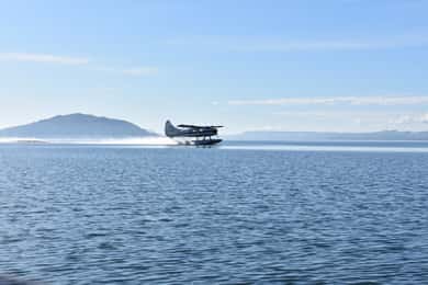 Rotorua: Scenic Flight over Mt Tarawera & Waimangu Valley