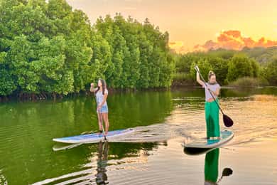 Mauritius: Guided Stand Up Paddle Tour on Tamarin River