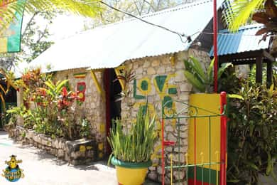Local de nascimento de Bob Marley e excursão privada às Cataratas do Rio Dunn