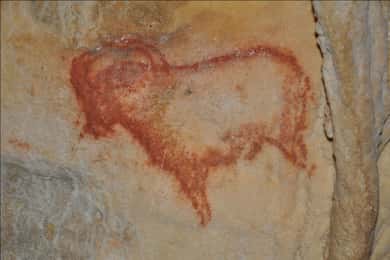 Sarlat : Private Tour to an Original Prehistoric Cave