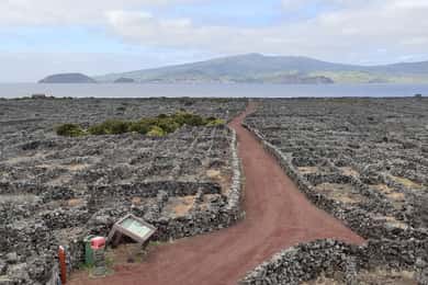 Tours on Pico Island - Cultural and Natural Landscape