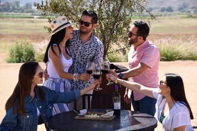Degustações de 5 vinhos com visita guiada na Adega Valle de Guadalupe