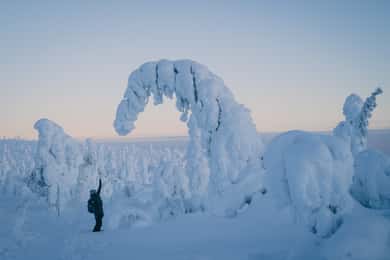 Vandring i Riisitunturis nationalpark med fotograf