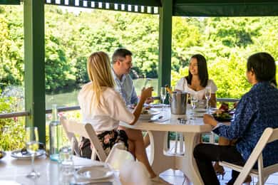 Brisbane: Tamborine Mountain helyi borászat túra ebéddel