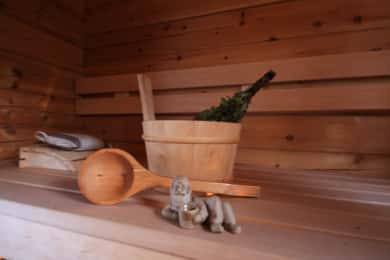 Rovaniemi: Private Sauna, Jacuzzi and Dinner